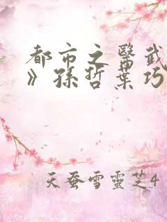 都市之医武风流》孙哲叶巧