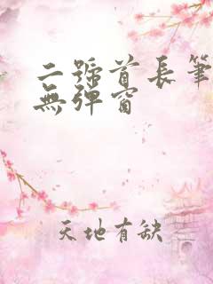 二号首长笔趣阁无弹窗