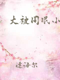 大被同眠小说