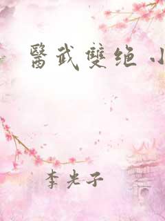 医武双绝 小说