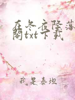 在冬夜降落笔趣阁txt下载
