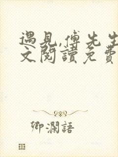 遇见,傅先生全文阅读免费