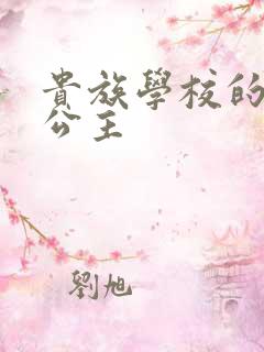 贵族学校的双面公主