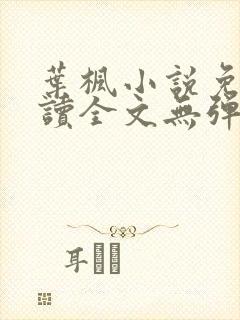 叶枫小说免费阅读全文无弹窗最新