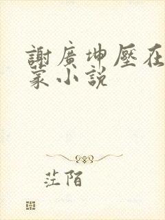 谢广坤压在王小蒙小说
