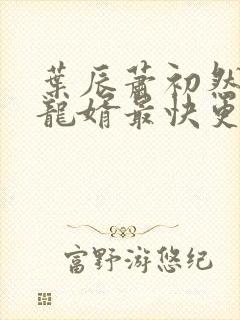 叶辰萧初然上门龙婿最快更新