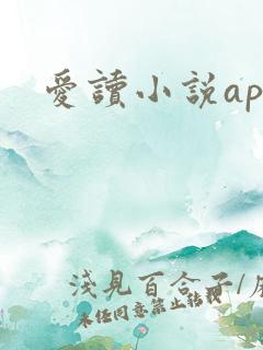 爱读小说app