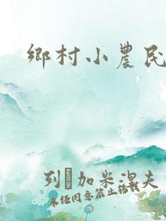 乡村小农民小说