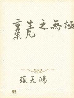 重生之无极仙尊叶凡