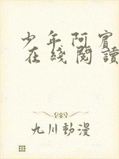 少 年 阿 宾 在 线 阅 读