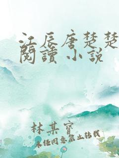 江辰唐楚楚在线阅读 小说