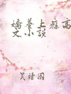 娇养上瘾高H爽文小说