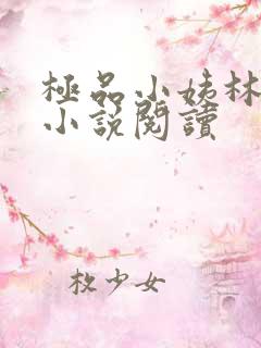 极品小姨林浩云小说阅读