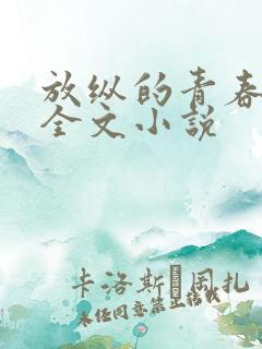 放纵的青春免费全文小说