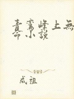 青鸾峰上无敌天命小说