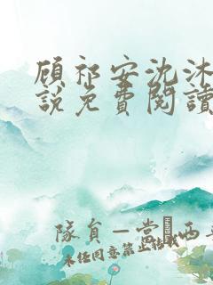 顾祁安沈沐婉小说免费阅读最新章节