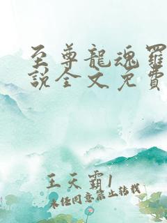 至尊龙魂罗成小说全文免费阅读无弹窗