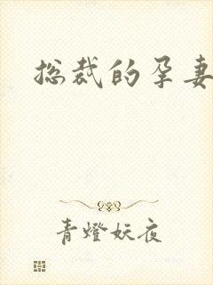 总裁的孕妻