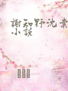 谢知野沈棠绾的小说