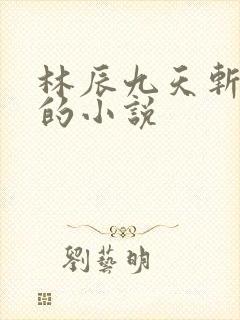 林辰九天斩神诀的小说