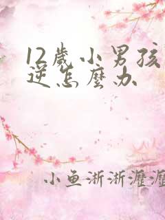 12岁小男孩叛逆怎么办