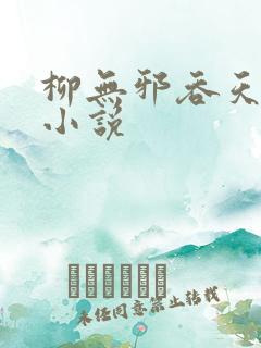 柳无邪吞天神鼎小说