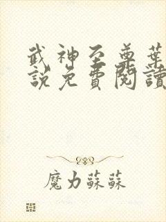 武神至尊叶风小说免费阅读全文