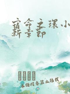 宿命之环小说最新章节