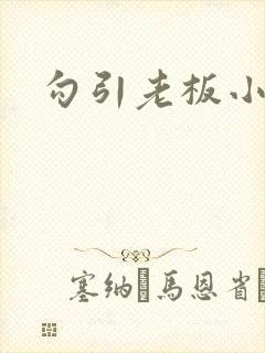 勾引老板小说h