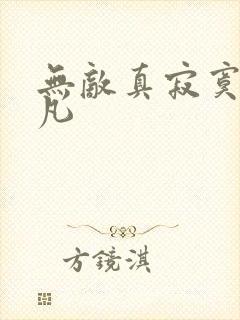 无敌真寂寞 林凡