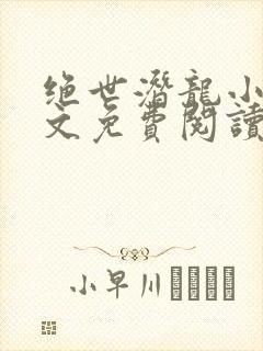 绝世潜龙小说全文免费阅读