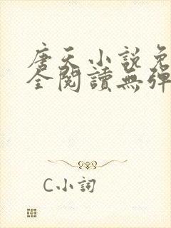 唐天小说免费大全阅读无弹窗