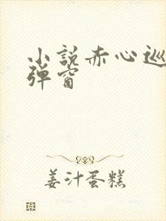 小说赤心巡天无弹窗