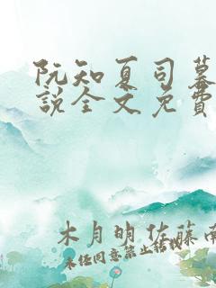 阮知夏司暮寒小说全文免费无弹窗