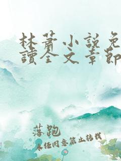 林萧小说免费阅读全文章节