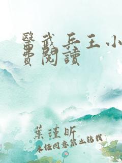 医武兵王小说免费阅读