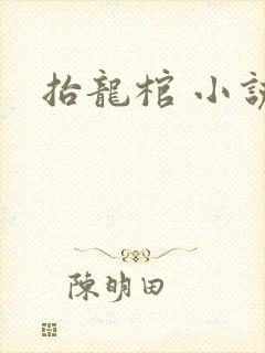 抬龙棺 小说