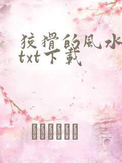 狡猾的风水相师txt下载
