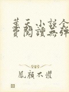 叶天小说全文免费阅读无弹窗