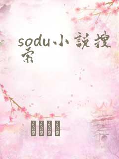 sodu小说搜索