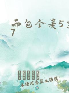 面包全麦5季年7
