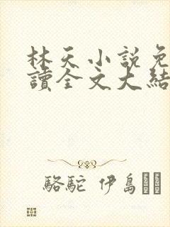 林天小说免费阅读全文大结局