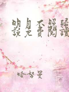 明月不照归途小说免费阅读