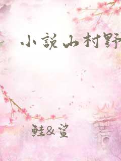 小说山村野事