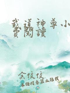 武道神尊小说免费阅读