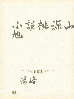 小说桃源山村王旭