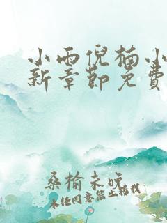 小雨倪楠小说最新章节免费阅读