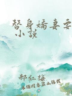替身娇妻要离婚 小说
