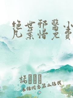 绝世邪医小说林凡叶惜免费阅读全文