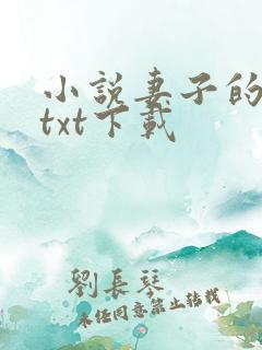 小说妻子的秘密txt下载